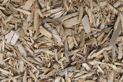 biomass boilers Landulph